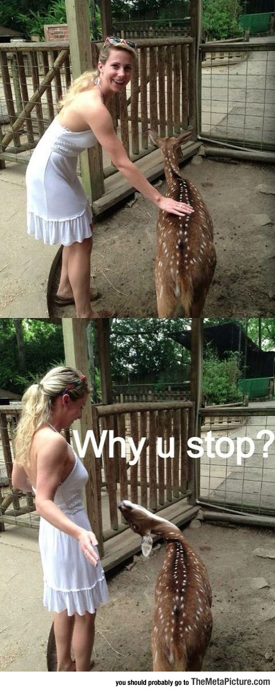 Wait, Why U Stop?