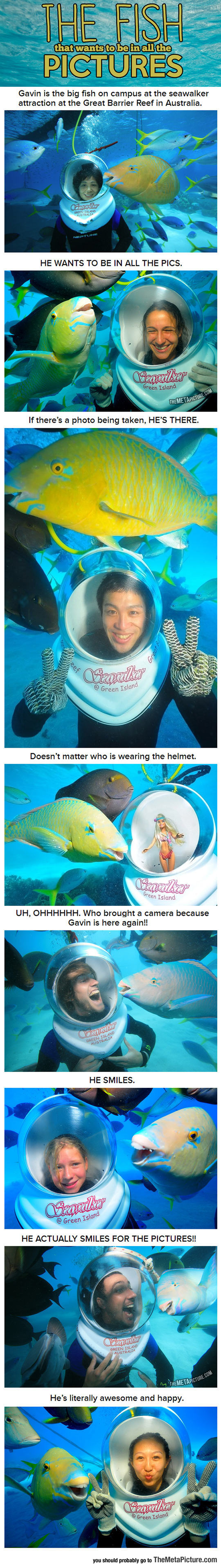cool-fish-smile-underwater
