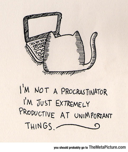 Not A Procrastinator