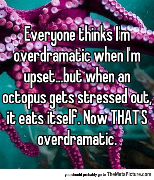 cool-octopus-stressed-dramatic