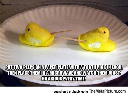cool-peeps-microwave-joust-toothpick