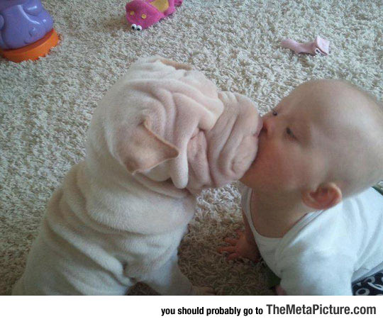 Innocent Puppy Kiss