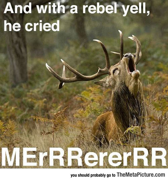 cool-reindeer-singing-rebel-yell