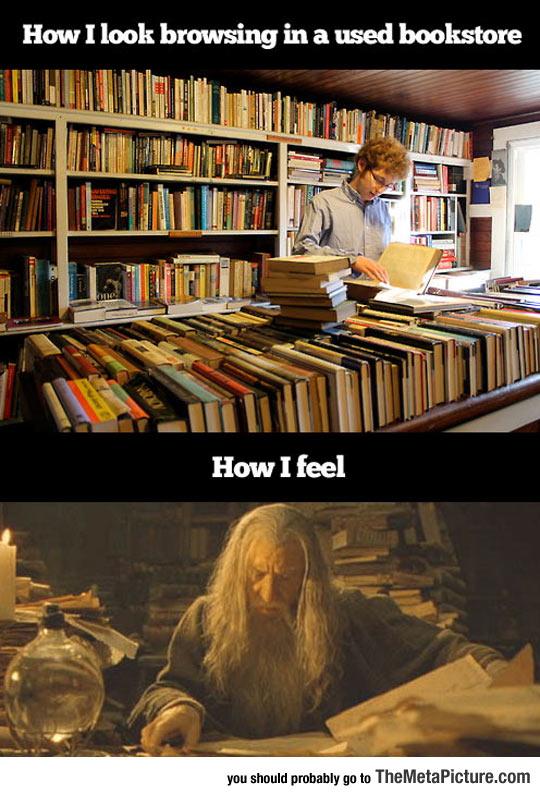 cool-search-library-Gandalf