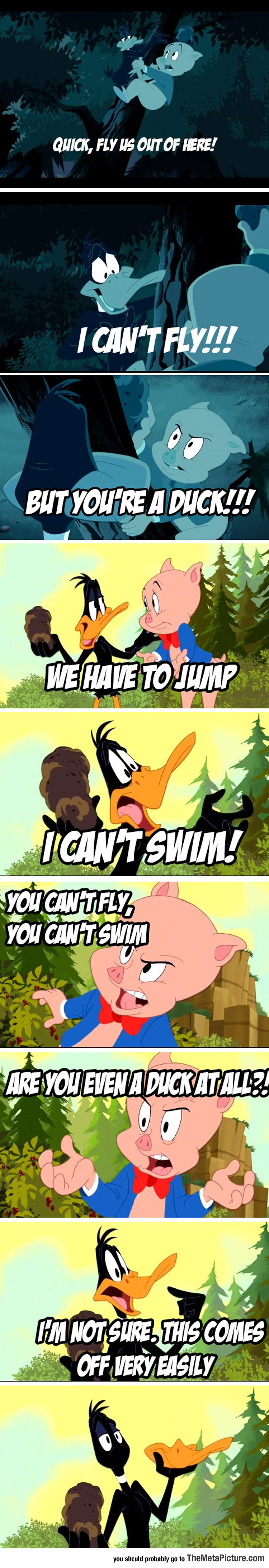 Even Daffy Isn