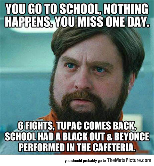 funny-Zach-Galifianakis-beard