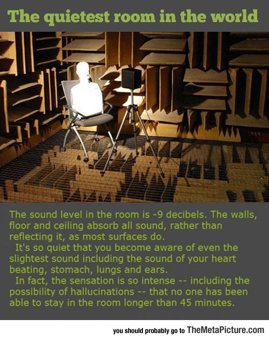 funny-quiet-room-sound-walls