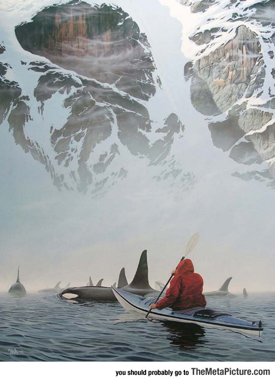 canoe-whales-sea-mountains-photo