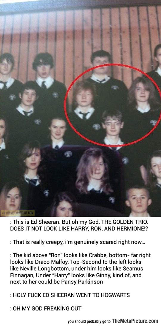 cool-Ed-Sheeran-Harry-Potter-characters