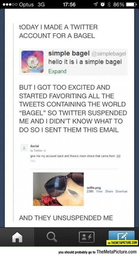Obsessed With Bagels