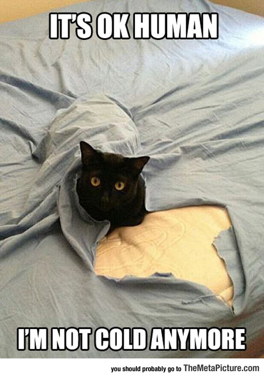 cool-black-cat-blanket-break