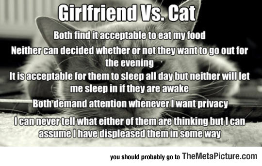 Girlfriend Vs. The Cat