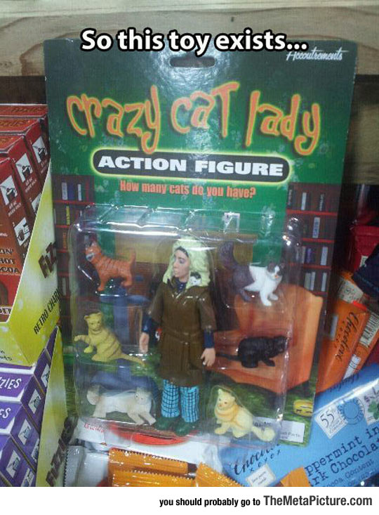 Crazy Cat Lady Action Figure