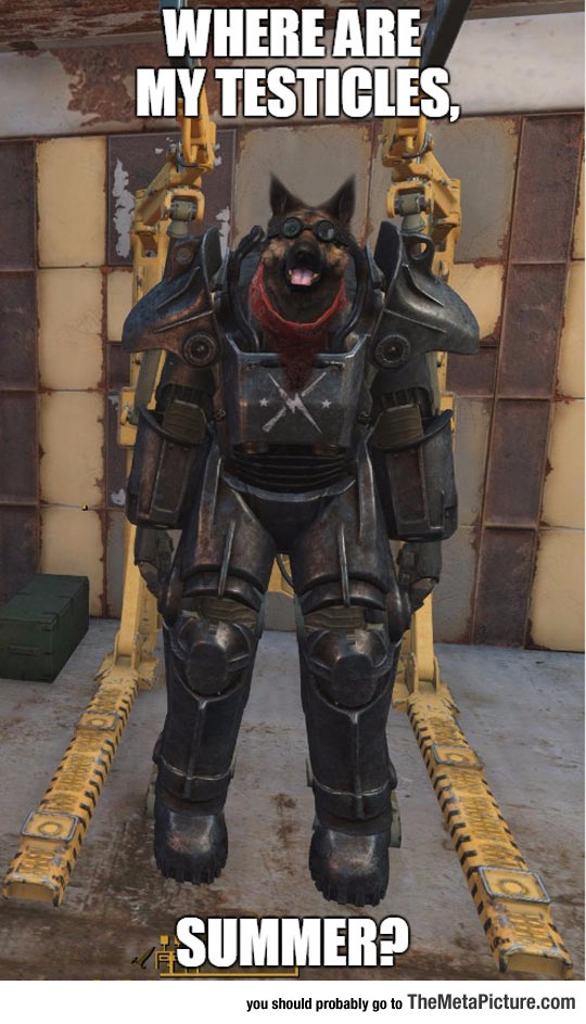 cool-dog-robot-suit