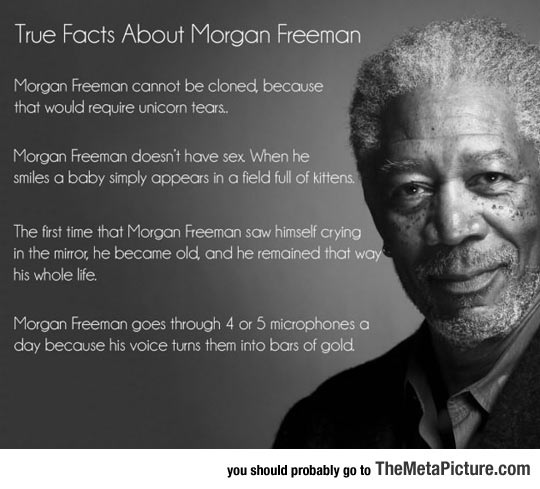cool-facts-Morgan-Freeman-quote