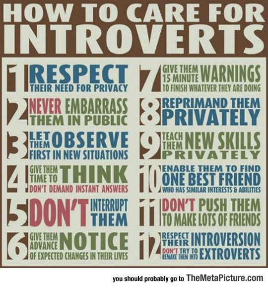 Learn How To Take Care For Introverts