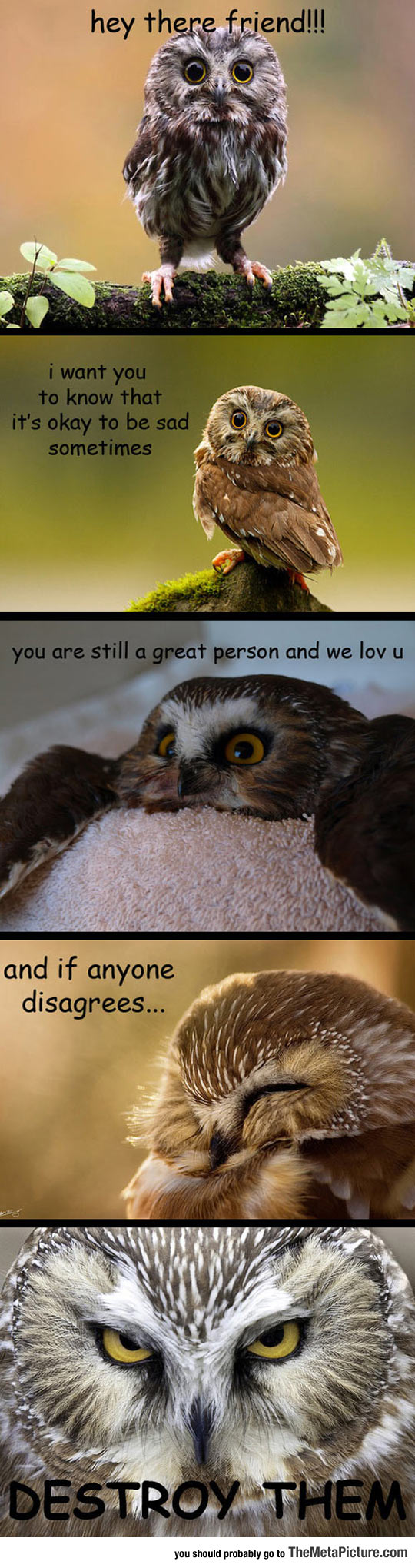Some Innocent Advice From Your Friendly Owl