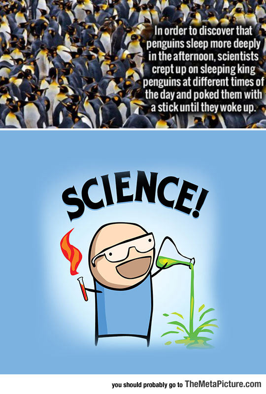 cool-science-fact-penguins
