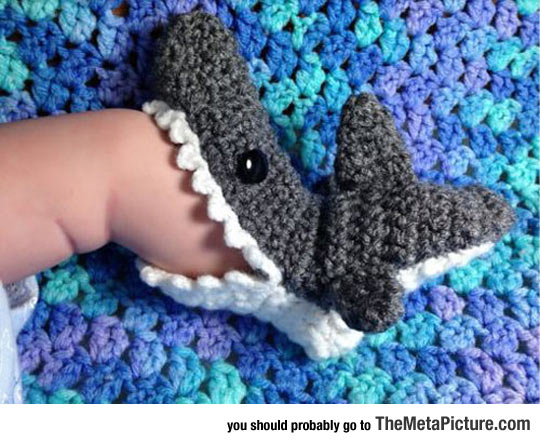 Little Shark Socks
