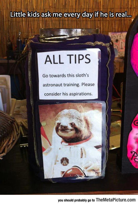 cool-sloth-astronaut-training-tip