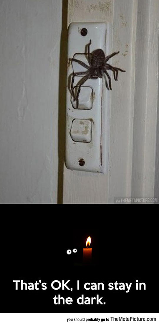cool-spider-switch-light