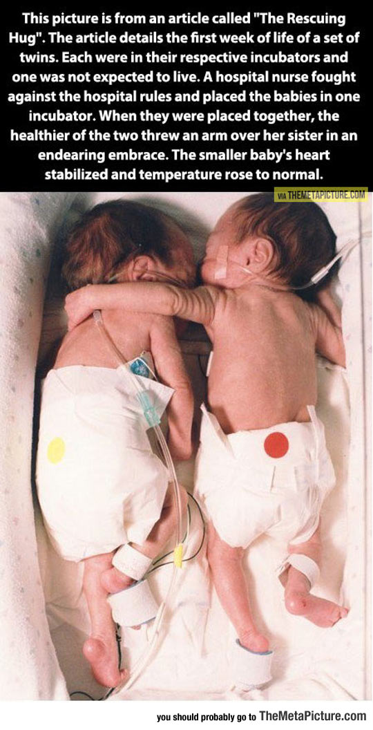 cool-story-babies-twins-incubator-hug
