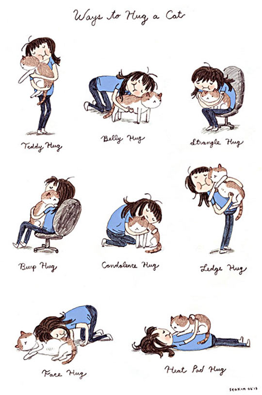 The Many Ways To Hug Your Cat