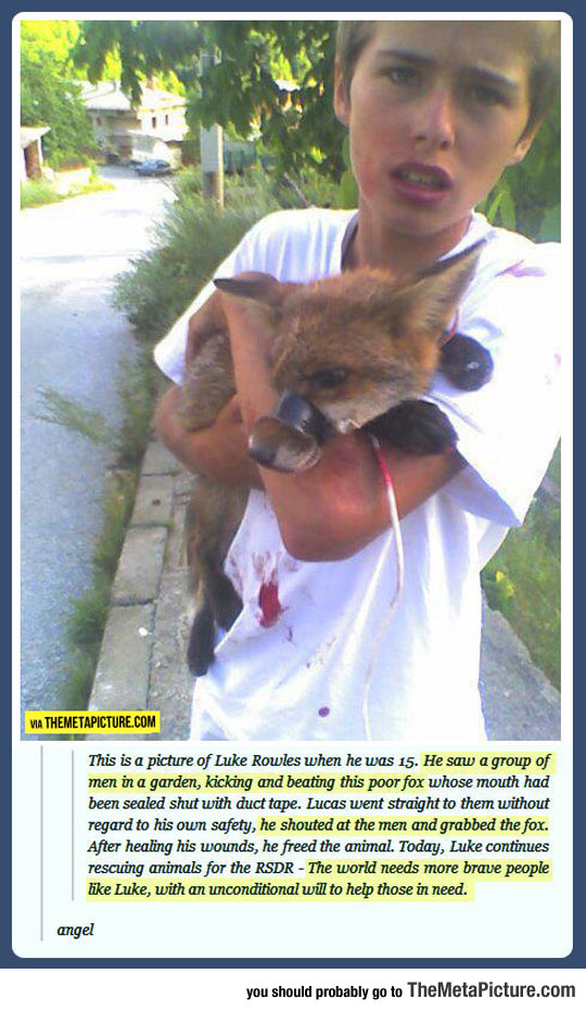 cute-kid-saving-fox-Luke-Rowles