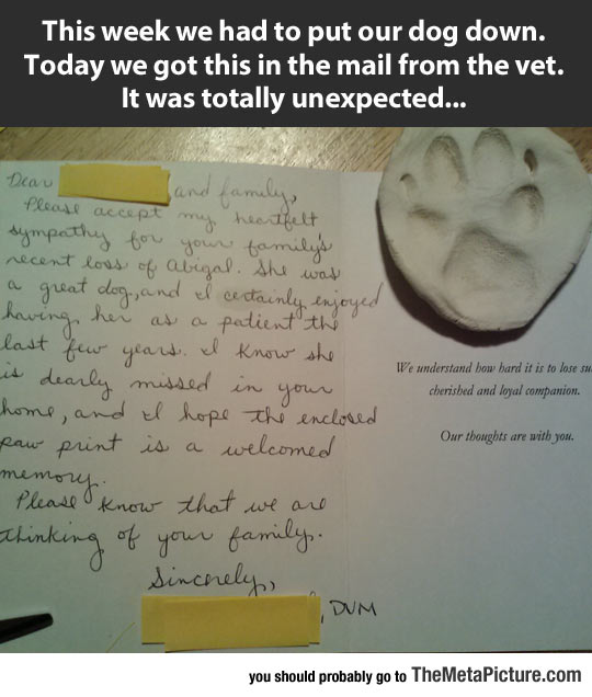 cute-vet-letter-dog-paw