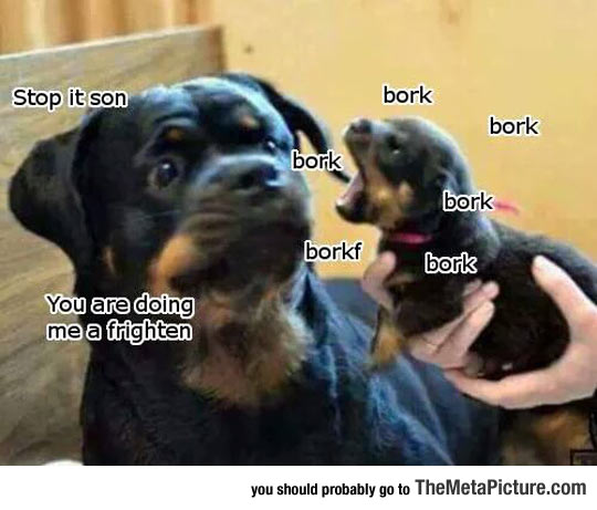 funny-scared-dog-puppy-barking