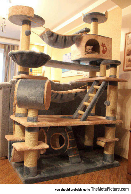 Epic Cat Tree, Probably The Mansion Version