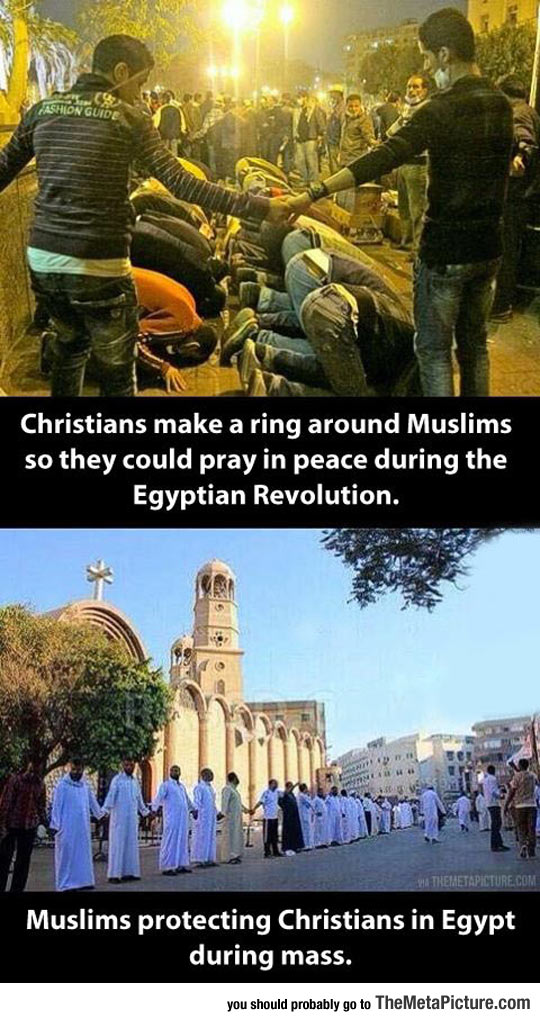 inspiring-Christians-Muslims-Egypt-respect