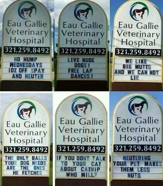 Creative Veterinary Signs