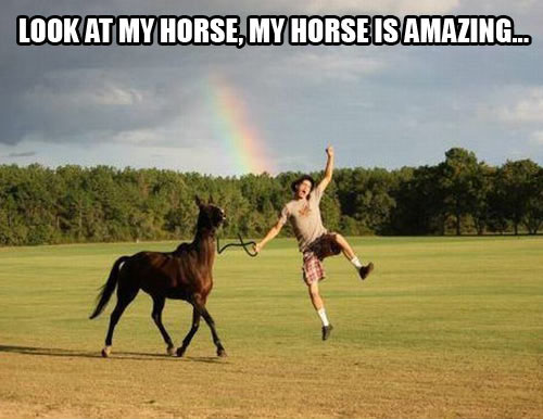 Look at my horse…