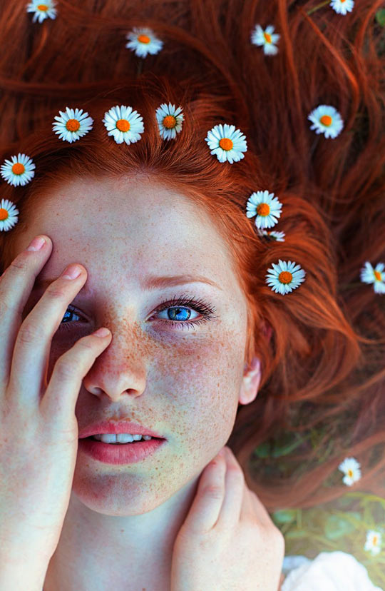 beauty-girl-redhead-daisies-flowers