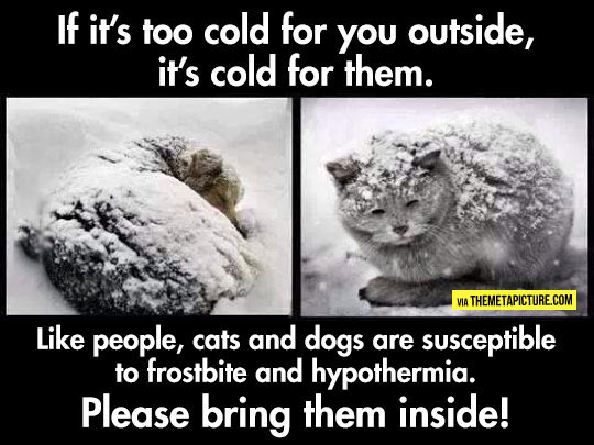 Something To Remember During The Cold Weather