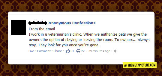 cool-Facebook-anonymous-confessions-vet-clinic