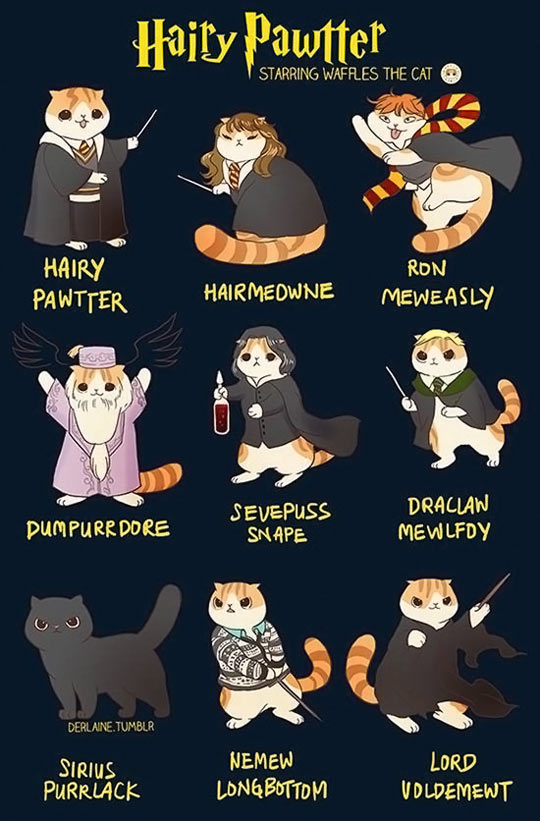 Harry Potter, Kitty Version