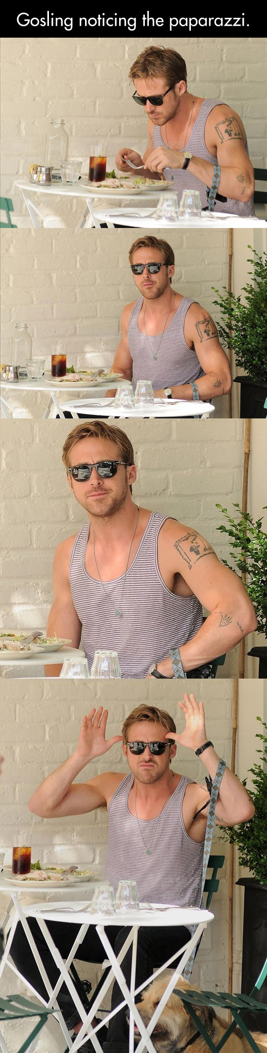 Ryan Gosling Vs. The Paparazzi