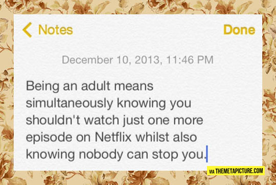 cool-adult-Netflix-quote-notes