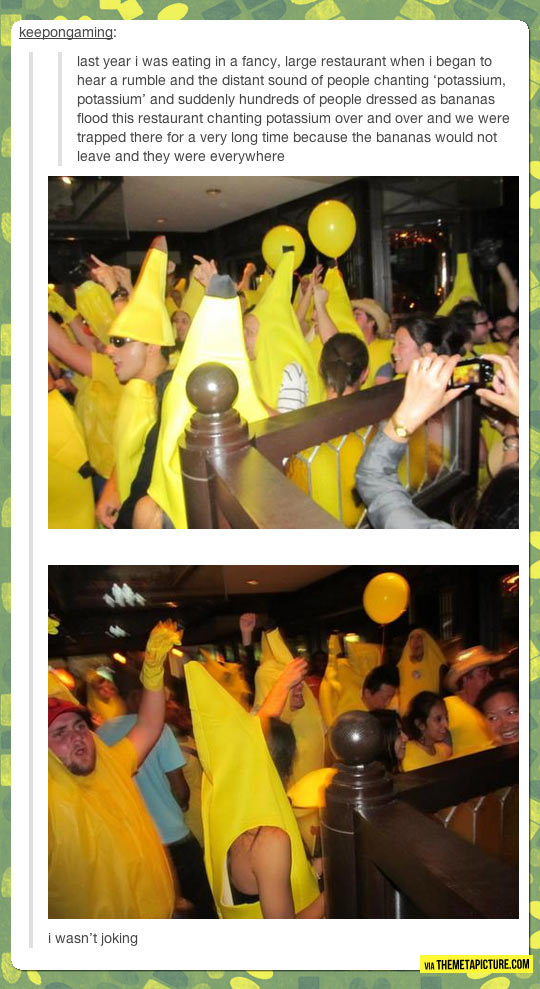 The Potassium People