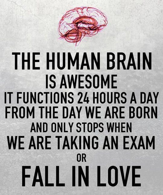 cool-brain-love-think-exam