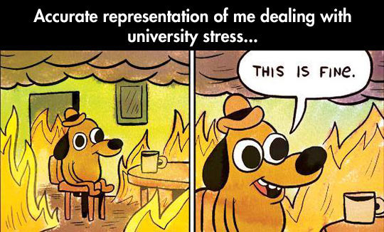 University Stress