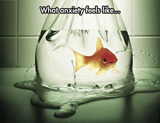 Anxiety Explained