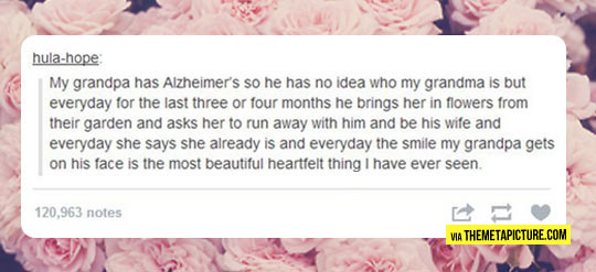 cool-love-story-grandfather-Alzheimer-wife