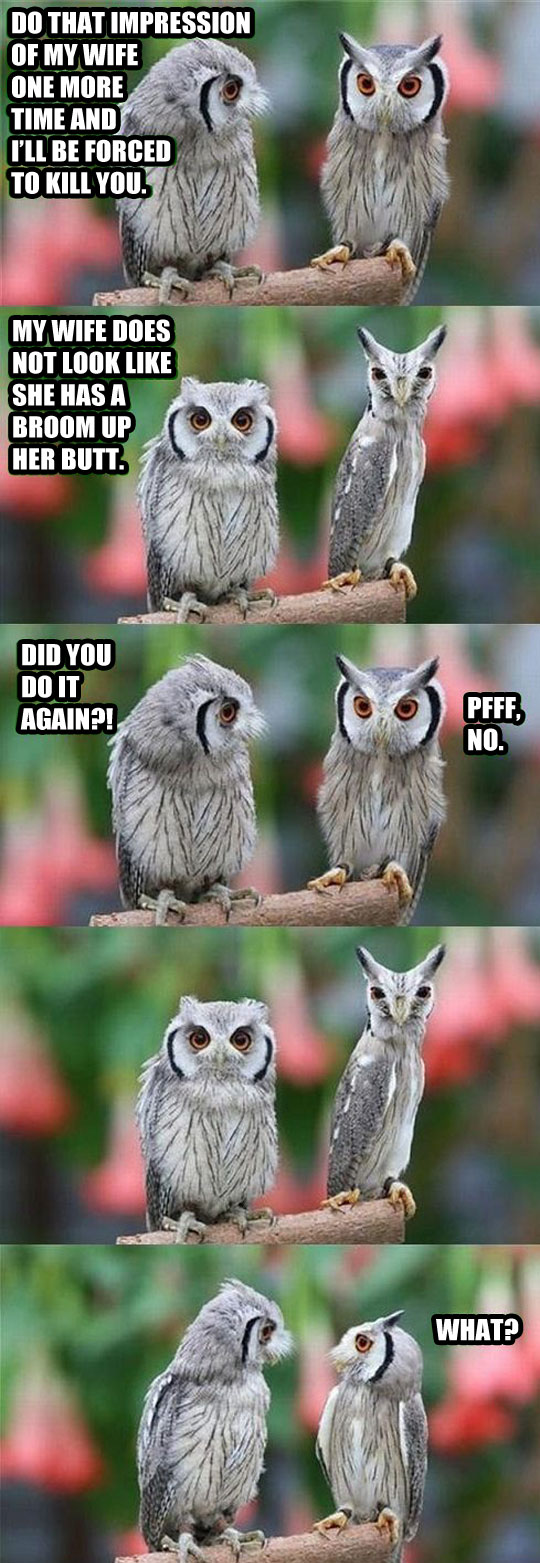 cool-owl-making-fun-skinny