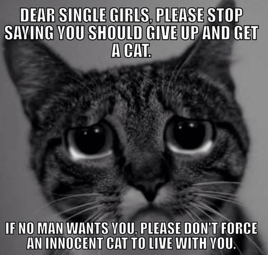 To All The Single Ladies Out There