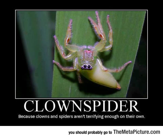 cool-scary-clown-spider-terrifying
