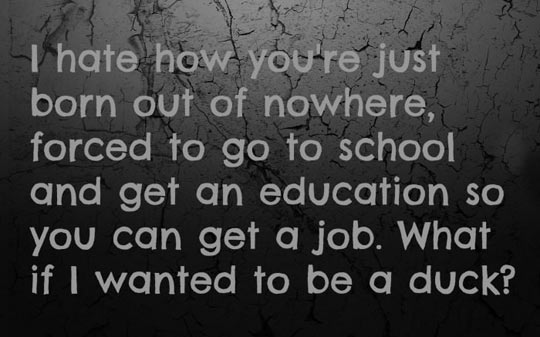 cool-school-education-job-duck