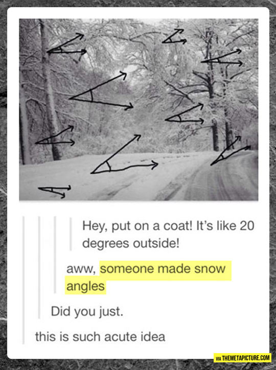 Apparently Someone Made Snow Angles
